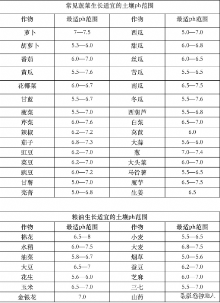 農民一定要重視“有機肥”的投入，不要問為什么，自己看吧